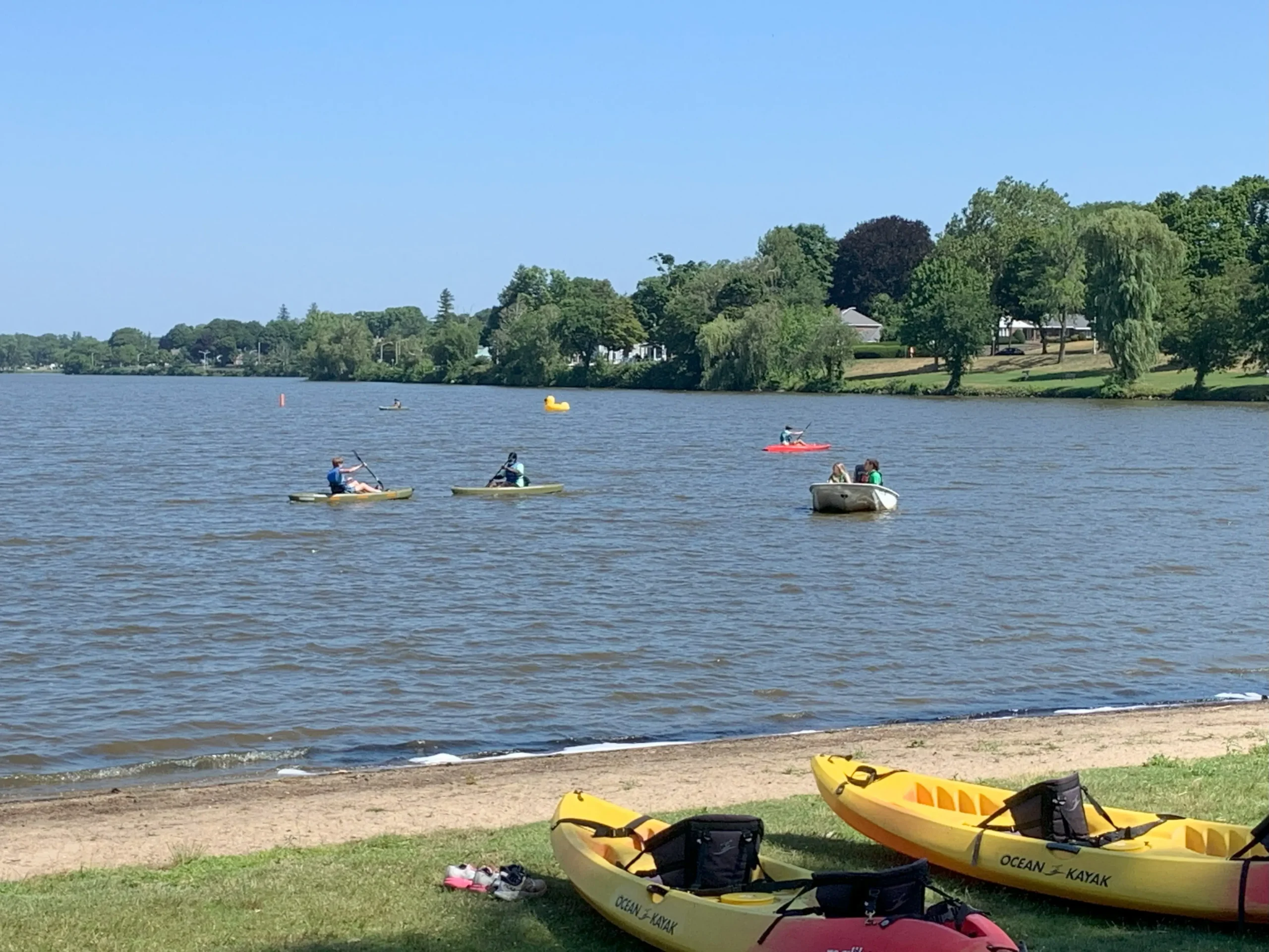 Groups of paddlers on Lake Quannapowitt in kayaks with life jackets on a summer afternoon